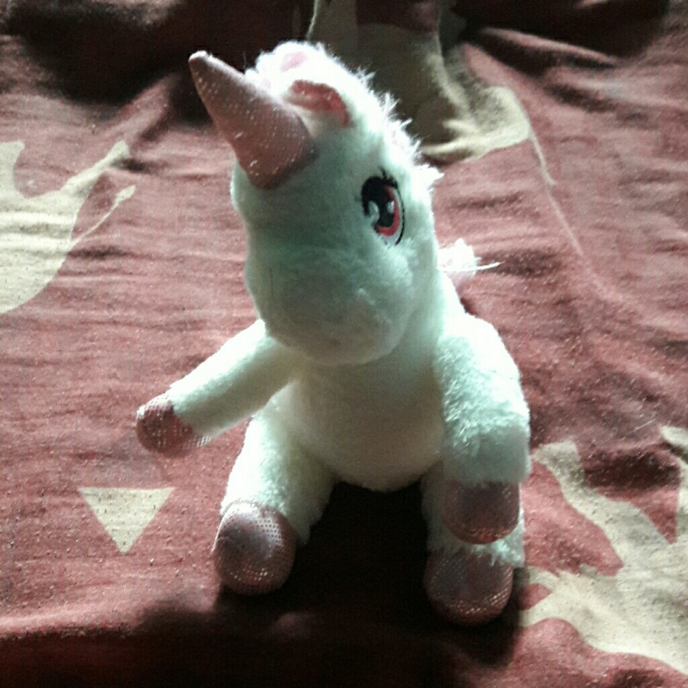 A pony